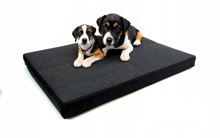 dwa leżące psy na materacu antypoślizgowym aura 5cm