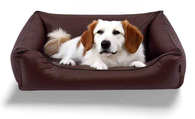 kanapa dla psa w której leży  biały pies