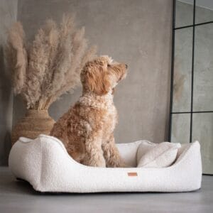 beżowe legowisko w salonie z psem