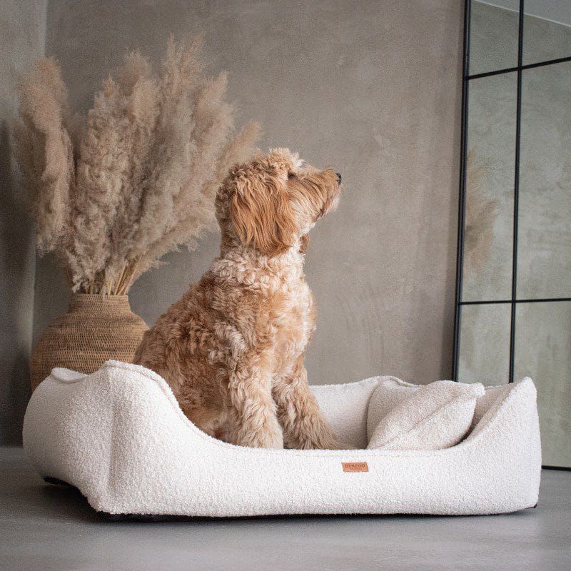 beżowe legowisko w salonie z psem