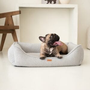 bulldog w szarym legowisku belluno