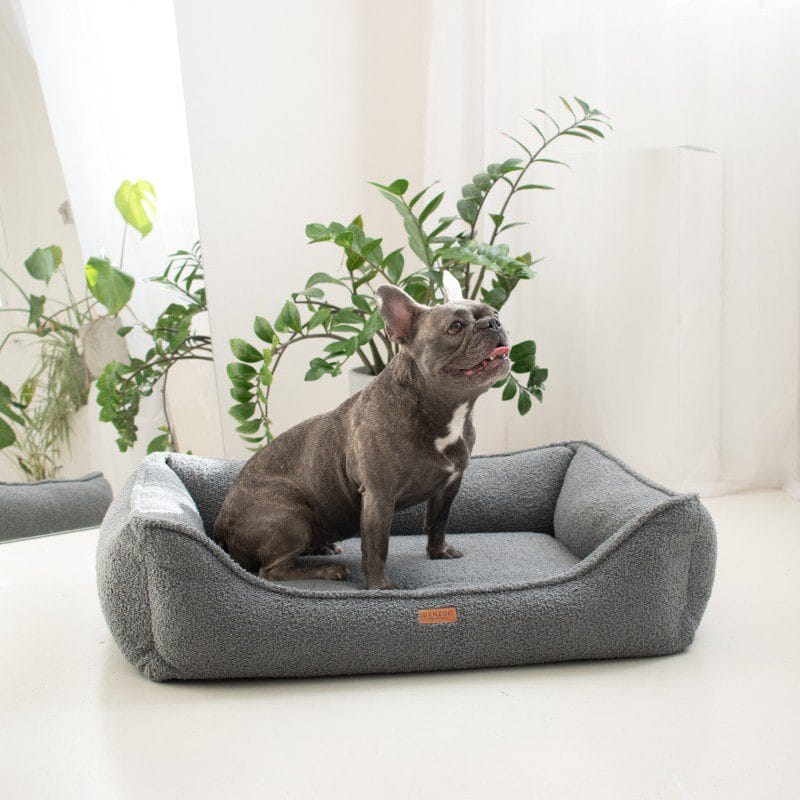 amstaff w ciemnoszarym legowisku belluno