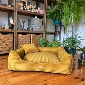 legowisko dla psa żółte milano w salonie