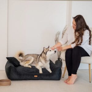 czarne legowisko dla psa prato z psem obok siedząca kobieta