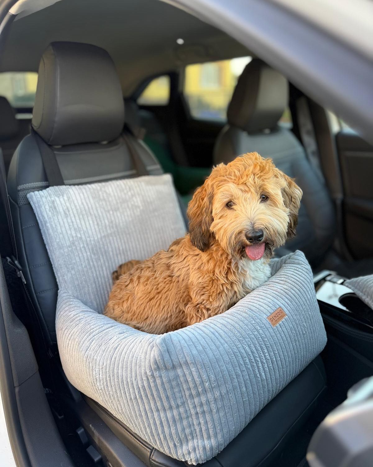 pies w foteliku milano pies w foteliku milano w samochodzie