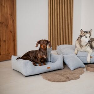 siedzący pies w szarym legowisku dla psa prato