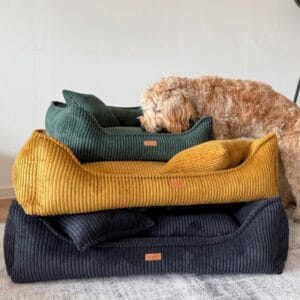 kilka kanap milano różne kolory