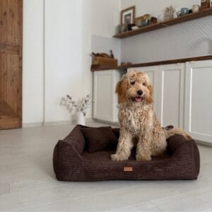 siedzący pies w brązowym legowisku dla psa rimini