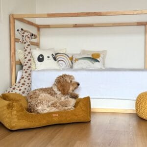 śpiący pies w legowisku dla psa rimini kolor musztardowy, legowisko leży w pokoju dziecięcym