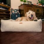 pies w legowisku verona bezowy