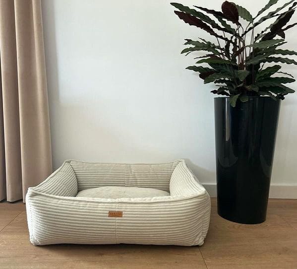 bezowe legowisko dla psa verona w pokoju