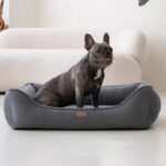 amstaff w ciemnoszarym legowisku belluno