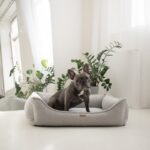 amstaff w legowisku belluno szare