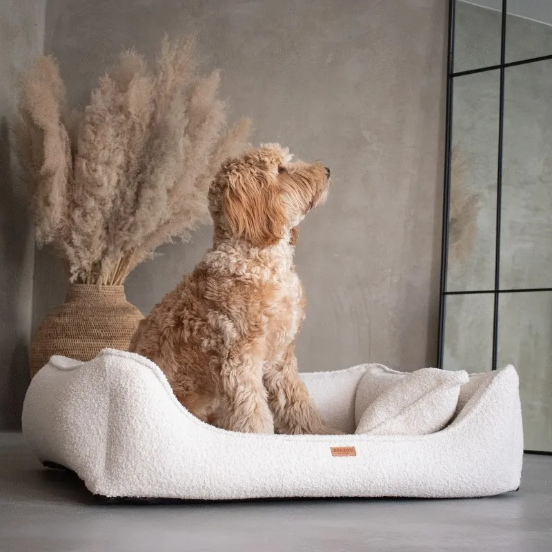 Pies na legowisku premium HausPets