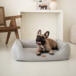 bulldog w szarym legowisku belluno