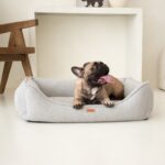 bulldog w szarym legowisku belluno