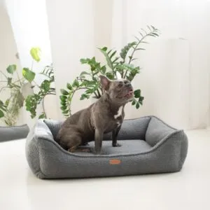 amstaff w ciemnoszarym legowisku belluno – ujęcie 2