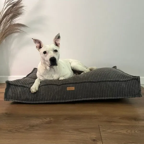 Materac ortopedyczny BRESSO