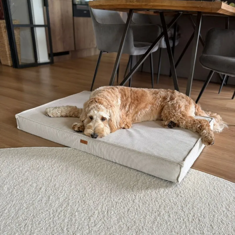 Legowiska ortopedyczne