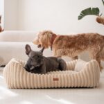 pies w beżowym legowisku palermo