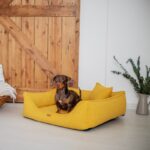 pies w musztardowym legowisku dla psa belluno