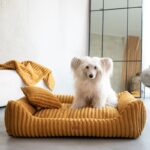 siedzący pudel w legowisku palermo w kolorze musztardowym