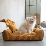 siedzący pies w legowisku palermo