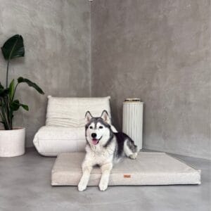 lezacy pies w legowisku ortopedycznym roma