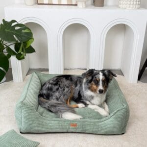 legowisko-premium-dla-psa-i-kota-ortopedyczne-pistacjowe-napoli-pistachio